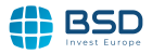 bsd solar logo